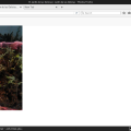 html_gui4.png