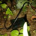 20160130_224611.jpg